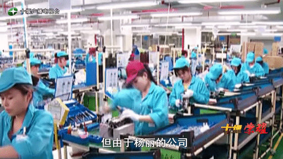 創(chuàng)業(yè)是一條無比艱辛的路，創(chuàng)新更是無限風光在險峰。在男性為主導的商海里，女性創(chuàng)業(yè)創(chuàng)新需要鼓足十萬分的勇氣和力量，是挑戰(zhàn)未來成功的小概率事件。而十堰姑娘楊麗便是這小概率事件中的一個傳奇，也是女性創(chuàng)業(yè)創(chuàng)新的榜樣。今天就來認識這位傳奇女性-興千田集團楊麗。